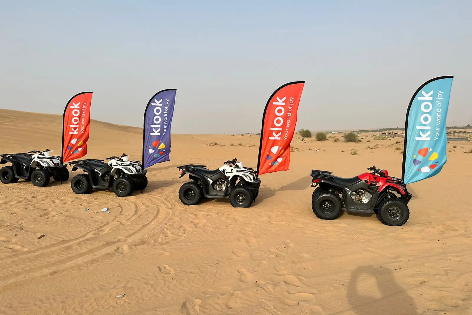 Desert Safari Tours in Dubai - Morning, Evening and Overnight in Dubai - Photo 7