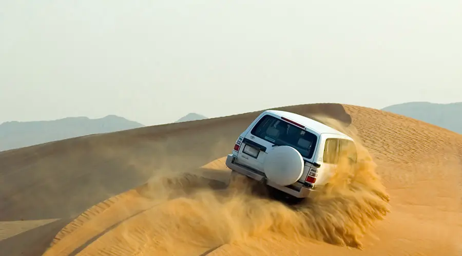 Desert Safari Tours in Dubai - Morning, Evening and Overnight in Dubai - Photo 19