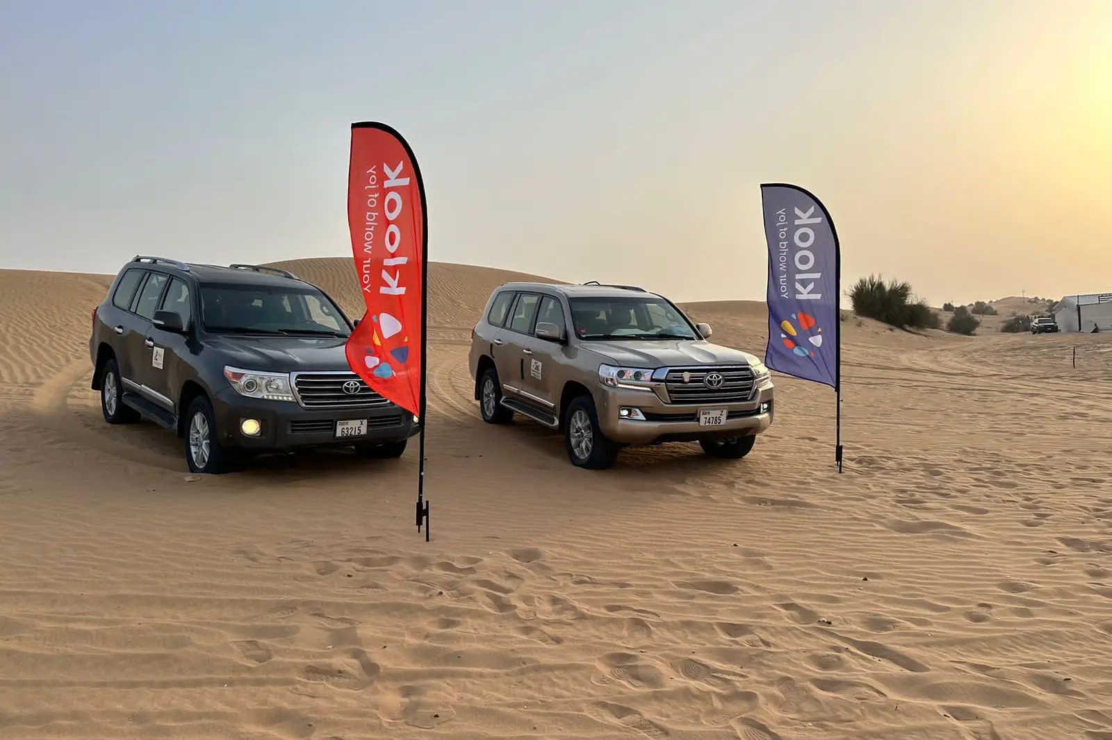 Desert Safari Tours in Dubai - Morning, Evening and Overnight in Dubai