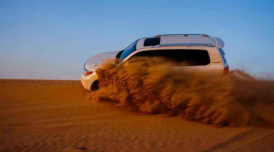 Desert Safari Tours in Dubai - Morning, Evening and Overnight in Dubai - Photo 17