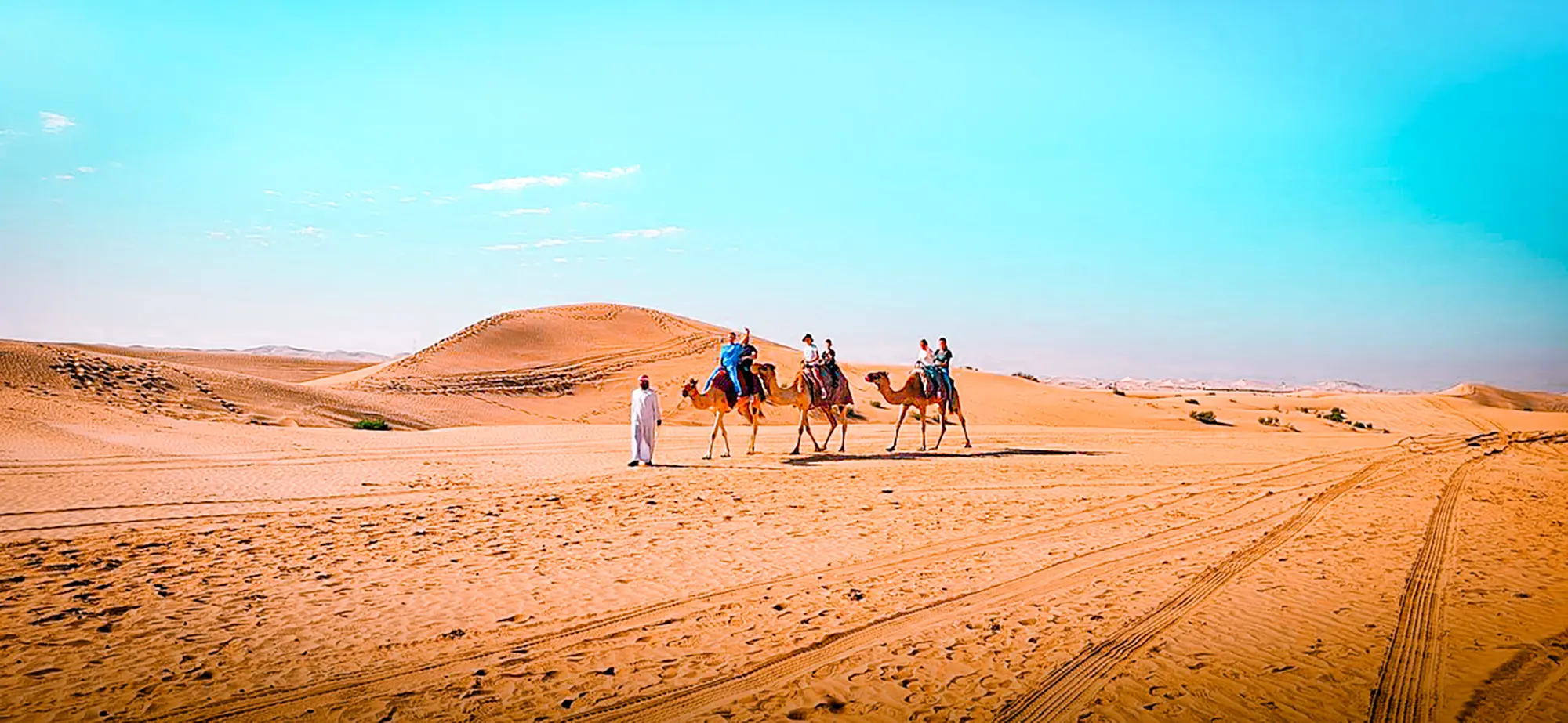 Abu Dhabi Desert Half-Day Camel Trek Adventure in Abu Dhabi