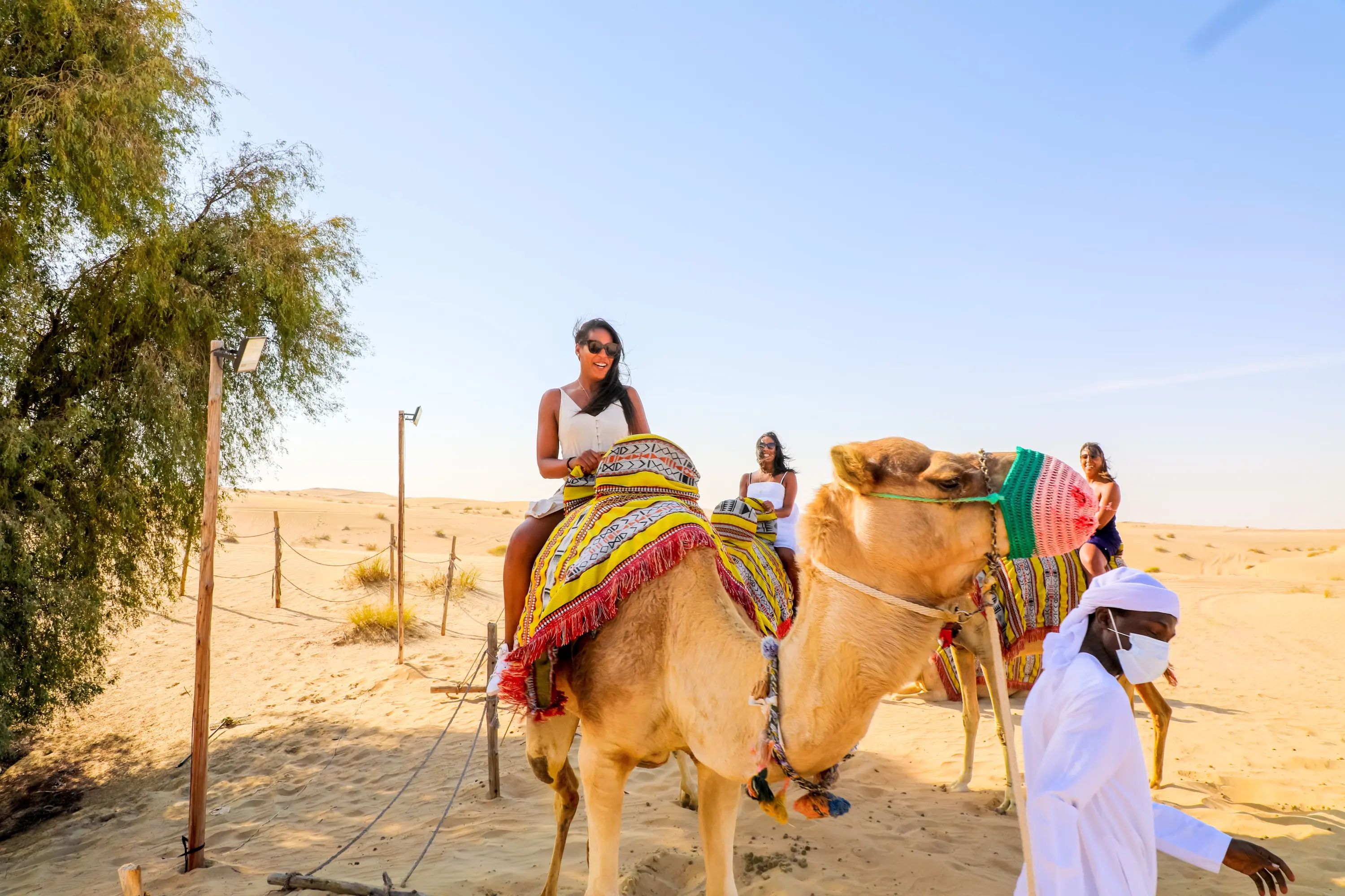 Luxury Desert Safari with Vintage G-Class & Al Marmoom Oasis Dinner in Dubai - Photo 6