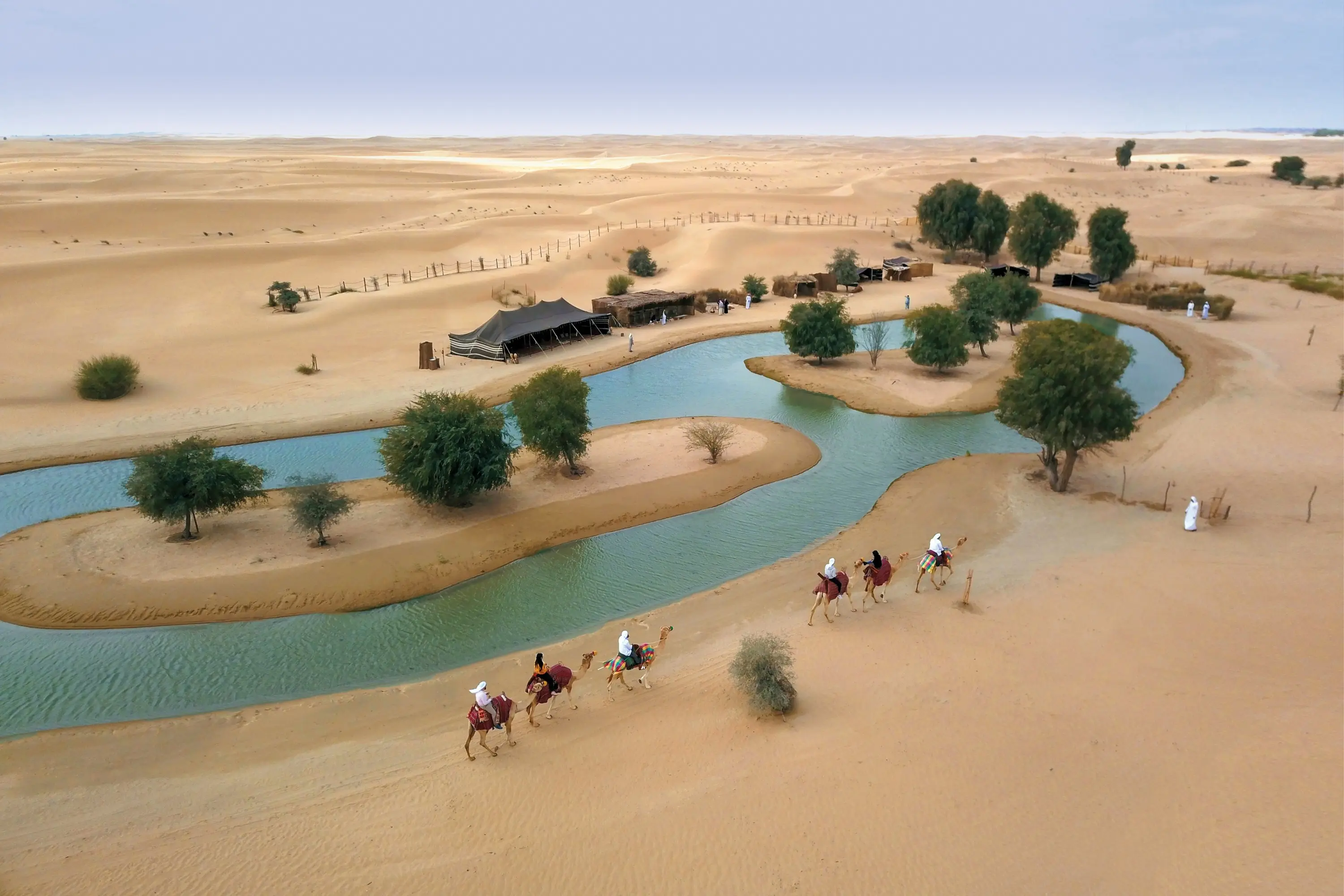 Luxury Desert Safari with Vintage G-Class & Al Marmoom Oasis Dinner in Dubai - Photo 12