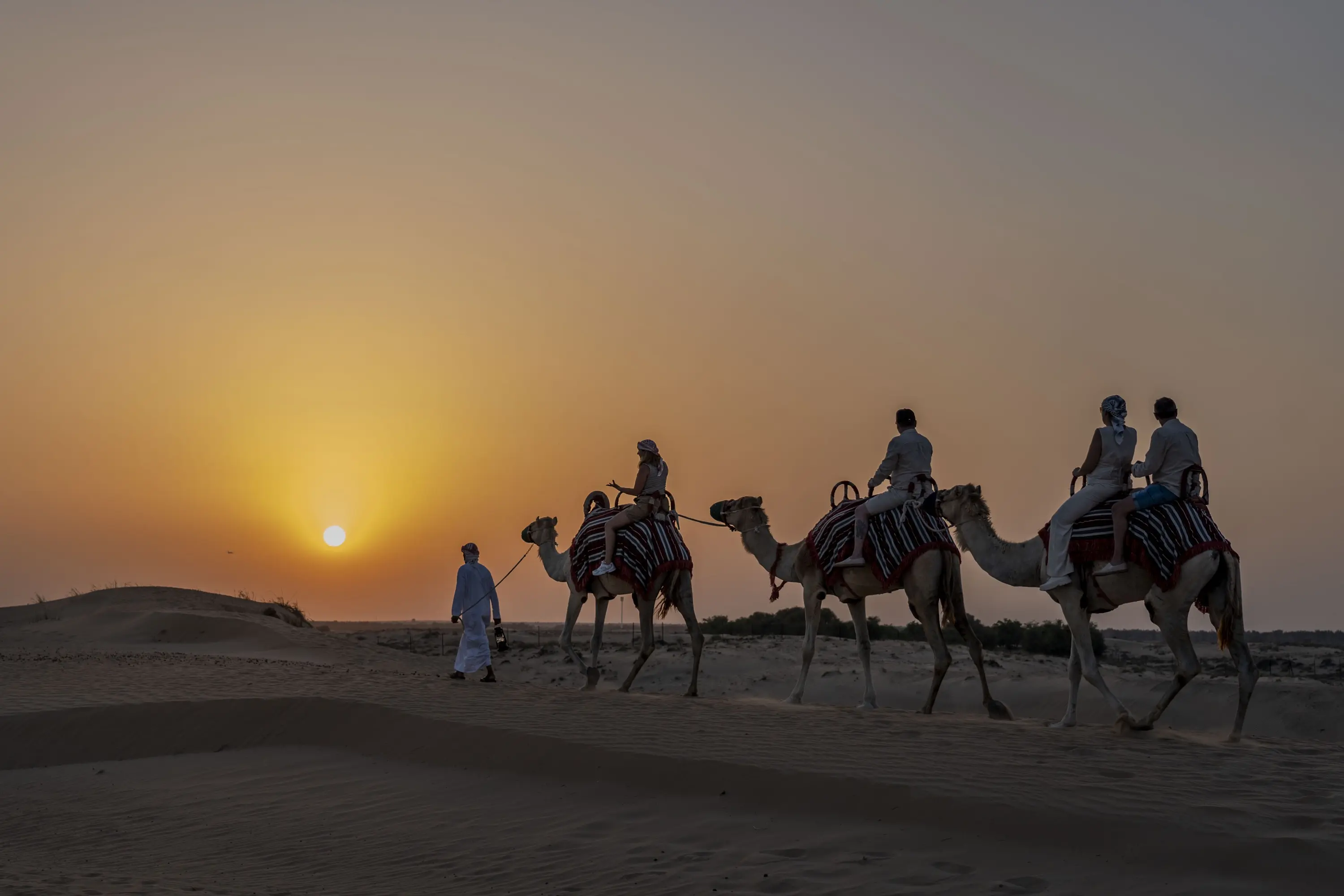 Abu Dhabi Evening Desert Safari with BBQ Dinner in Abu Dhabi - Photo 4