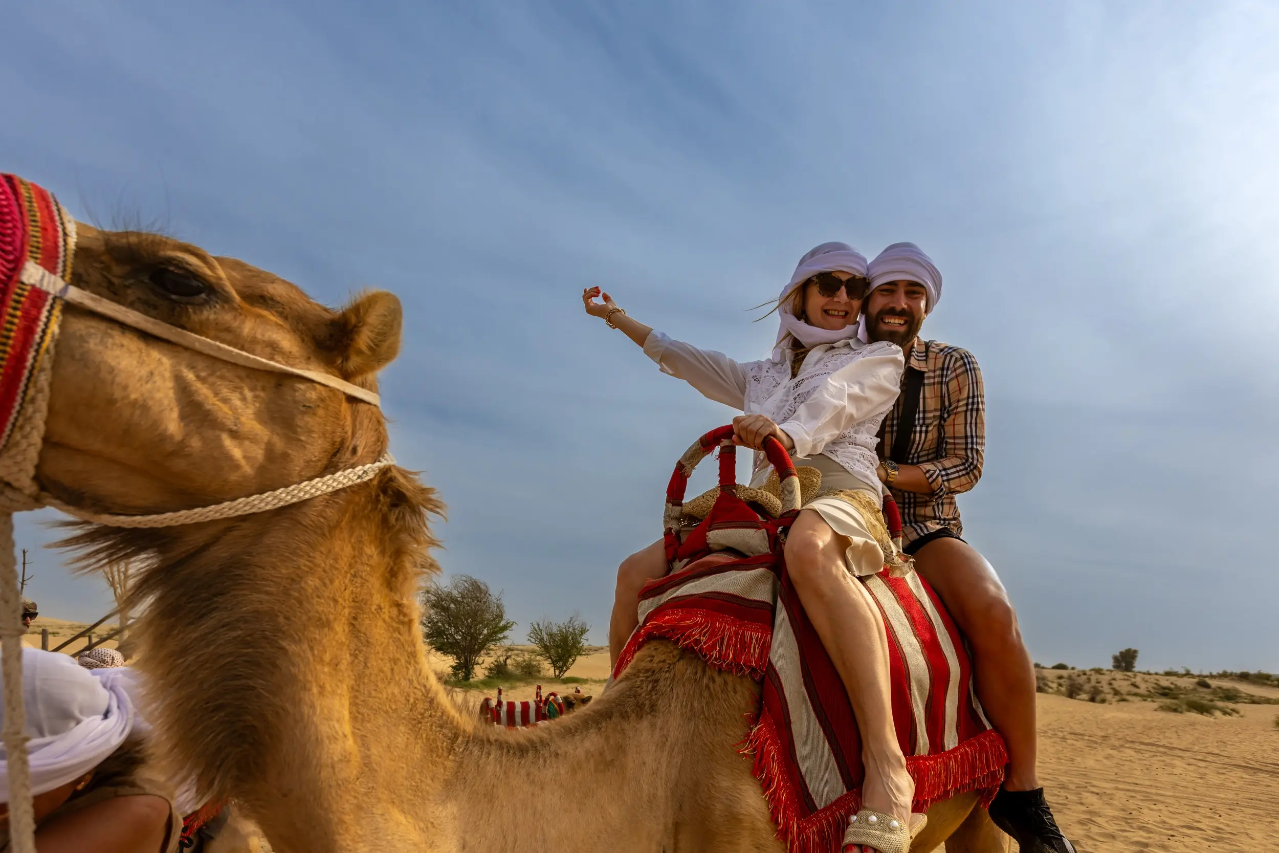 Arabian Desert 4-Hour Guided Safari Experience in Abu Dhabi - Photo 4