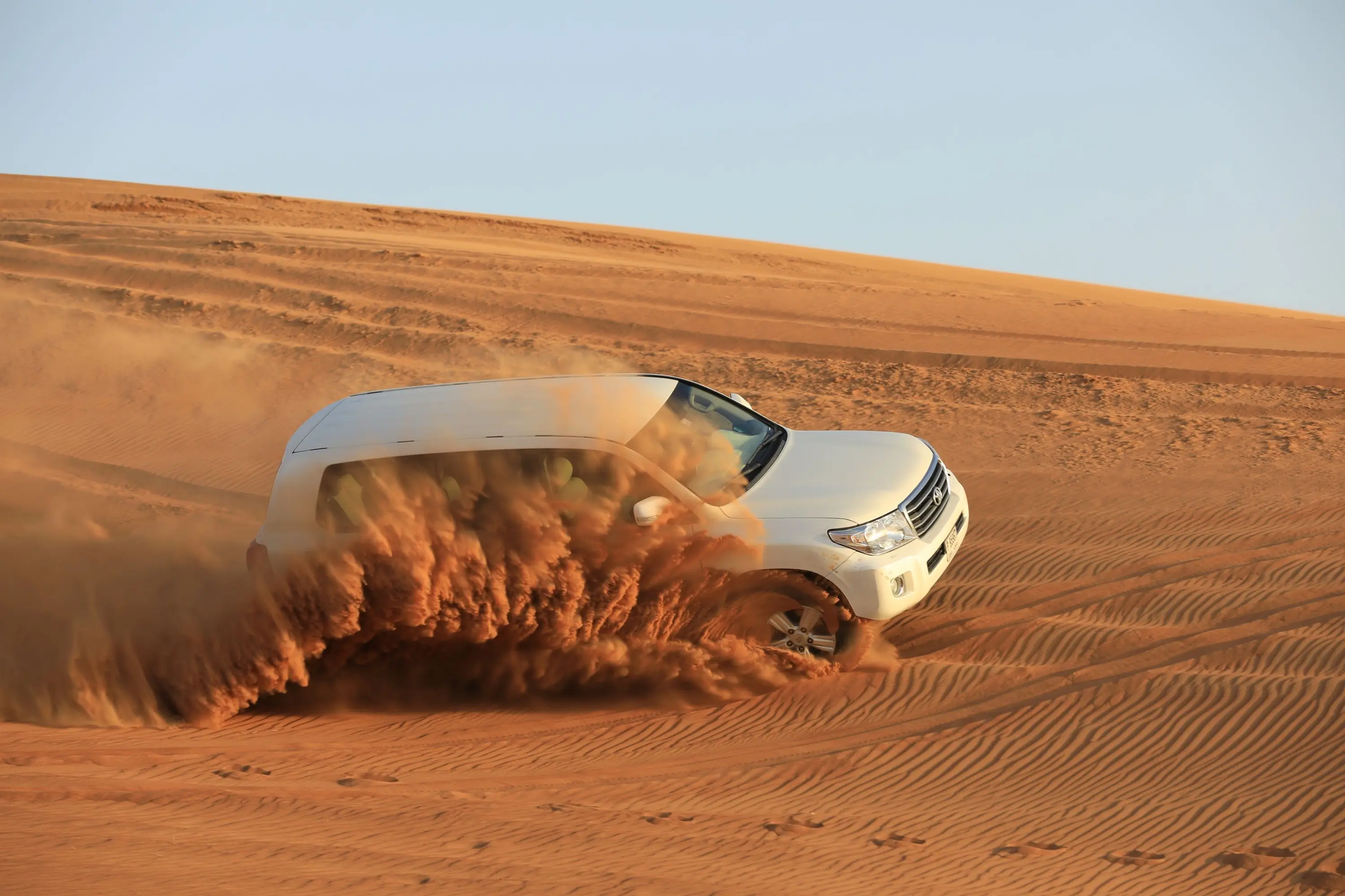 Arabian Desert 4-Hour Guided Safari Experience in Abu Dhabi - Photo 5