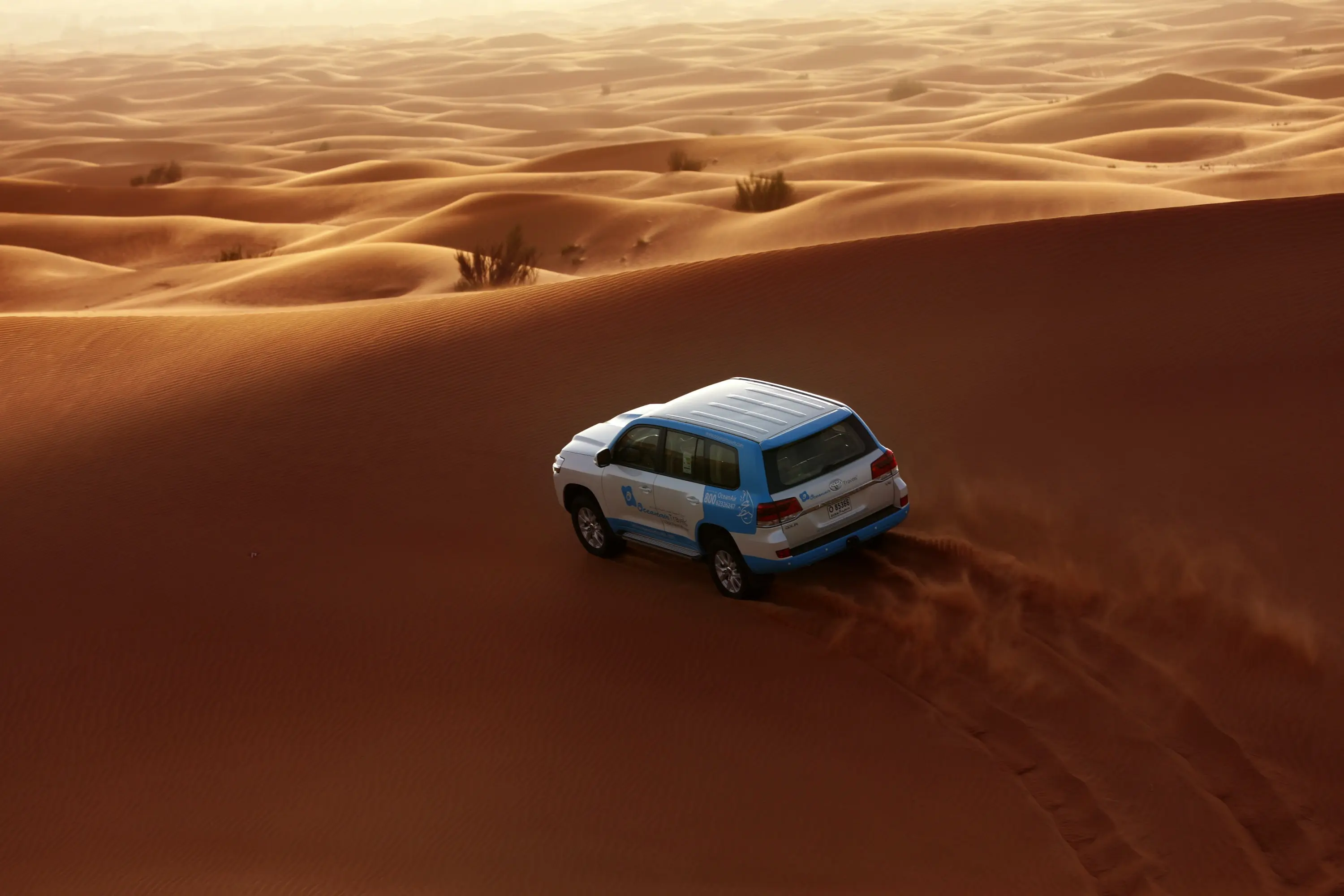 Arabian Desert 4-Hour Guided Safari Experience in Abu Dhabi - Photo 11