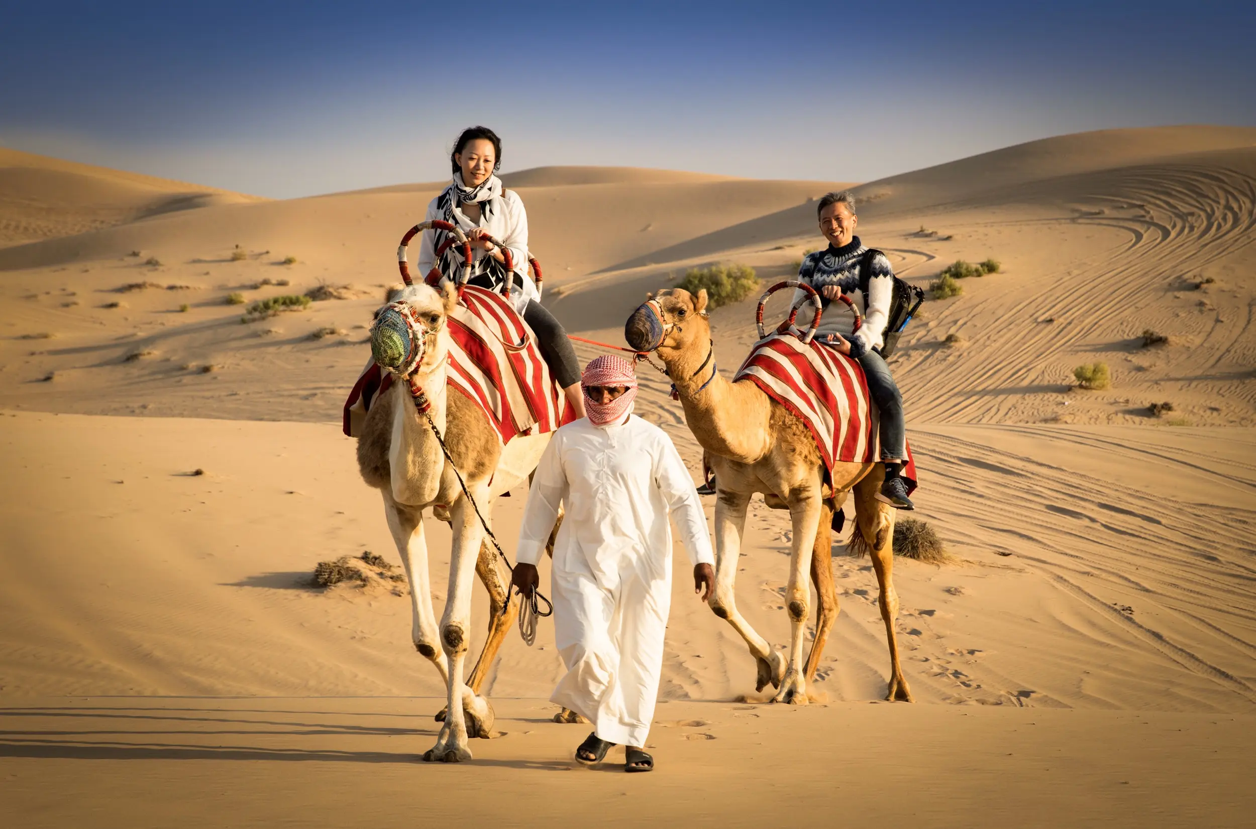 Arabian Desert 4-Hour Guided Safari Experience in Abu Dhabi - Photo 9