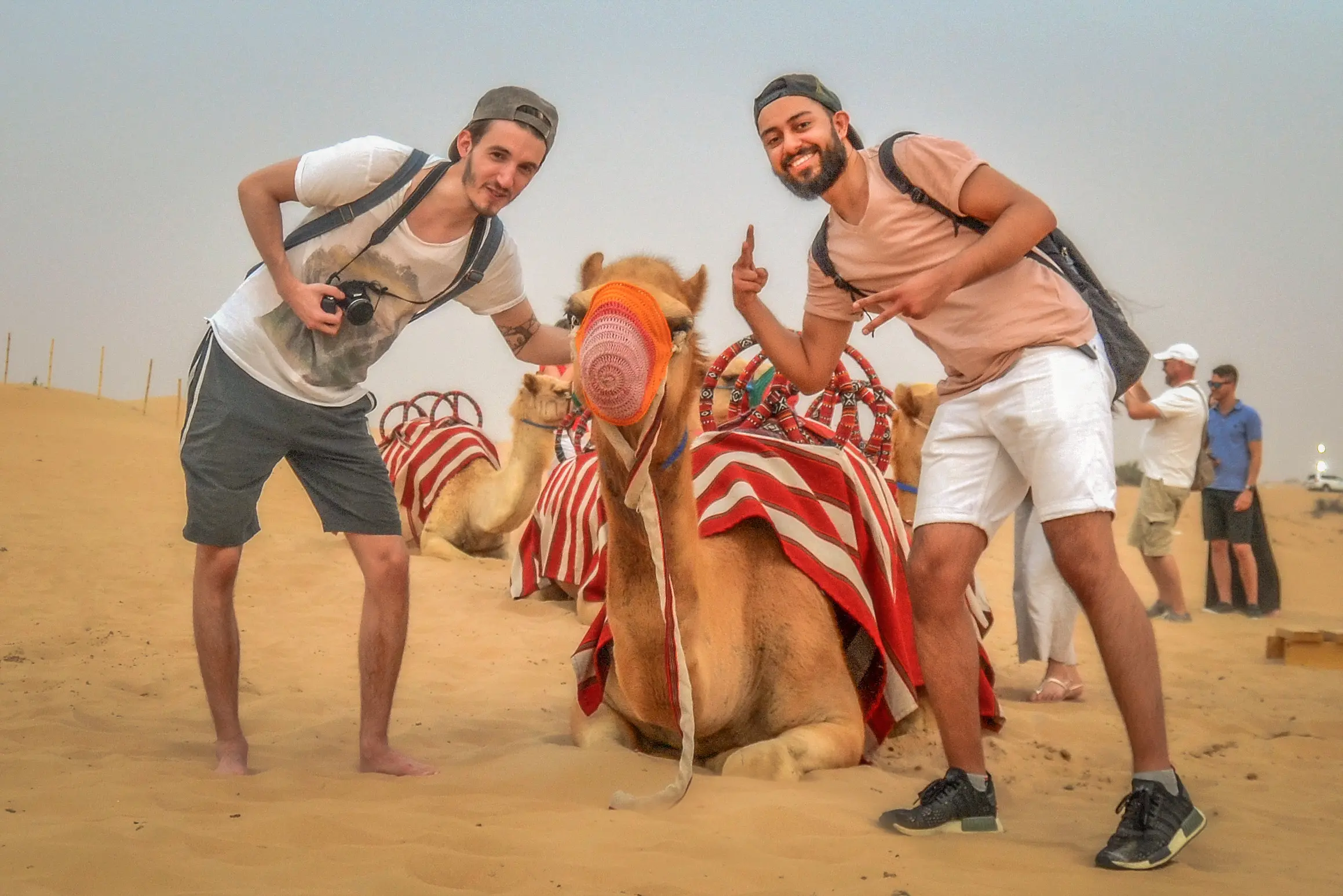 Arabian Desert 4-Hour Guided Safari Experience in Abu Dhabi - Photo 7