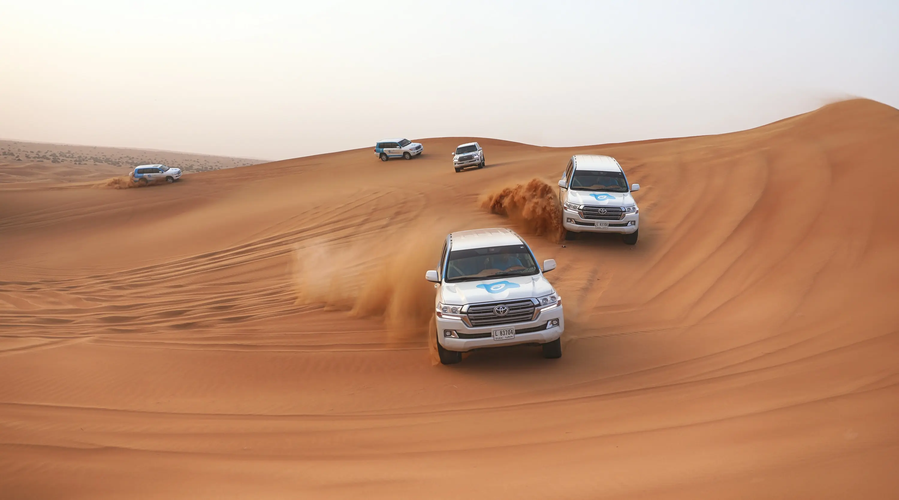 Arabian Desert 4-Hour Guided Safari Experience in Abu Dhabi