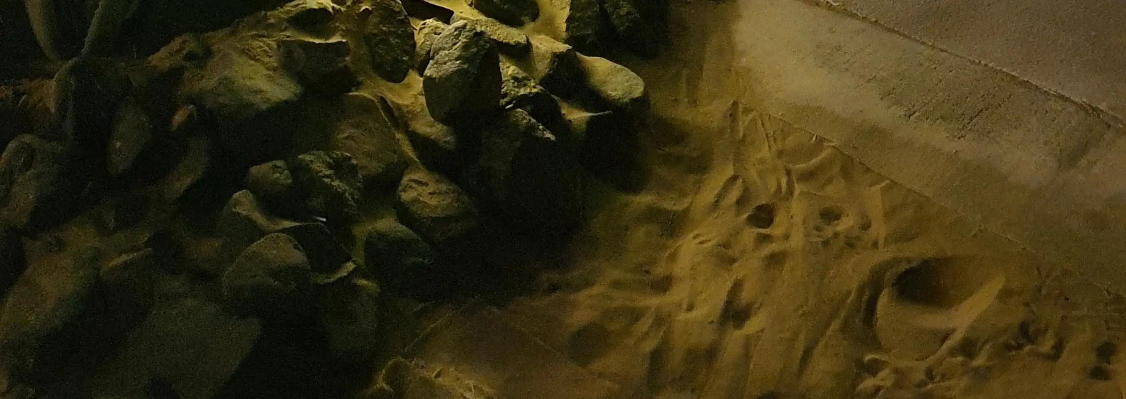 Overnight Dubai Desert Safari: Stay in Igloo Tent or Ensuite Cabin in Dubai - Photo 3