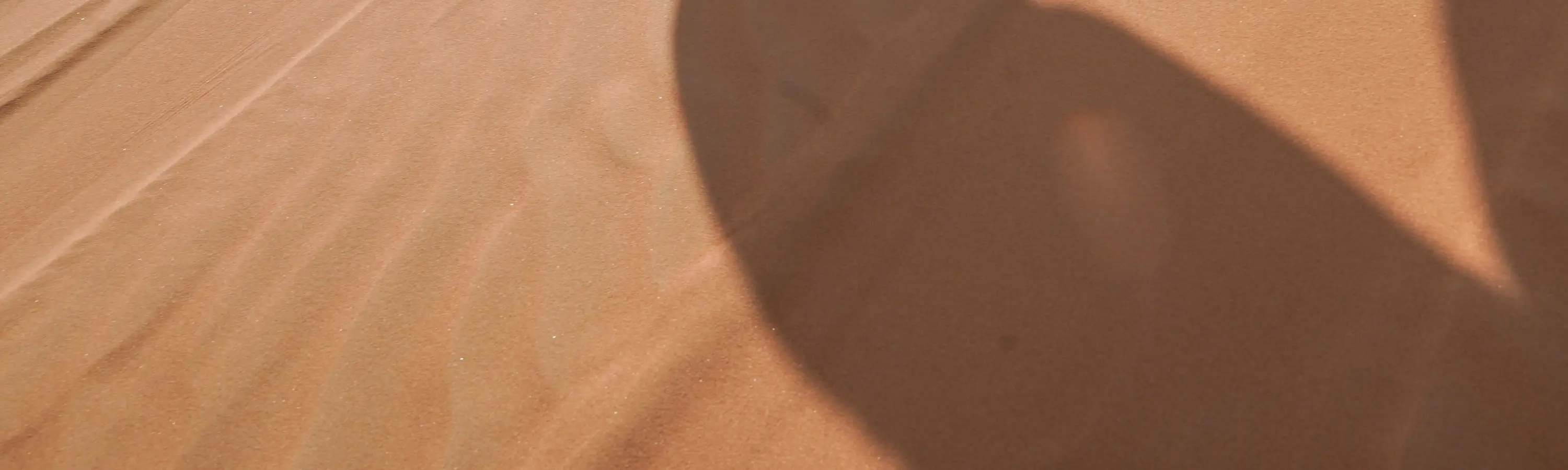Premium Desert Safari - Morning, Evening & Overnight at Al Khayma in Dubai - Photo 13