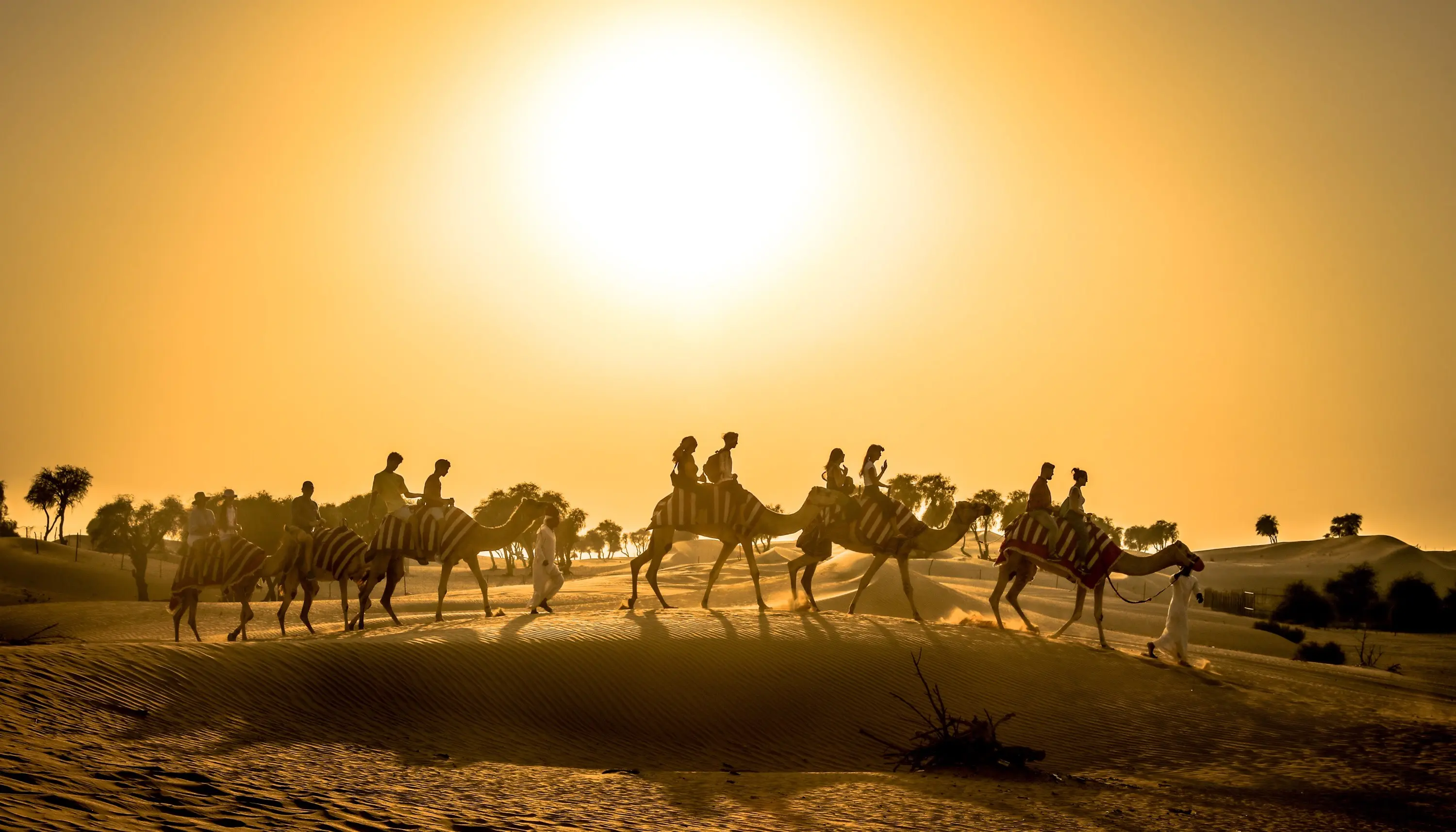 Dubai Desert Sunset Guided Adventure in Dubai