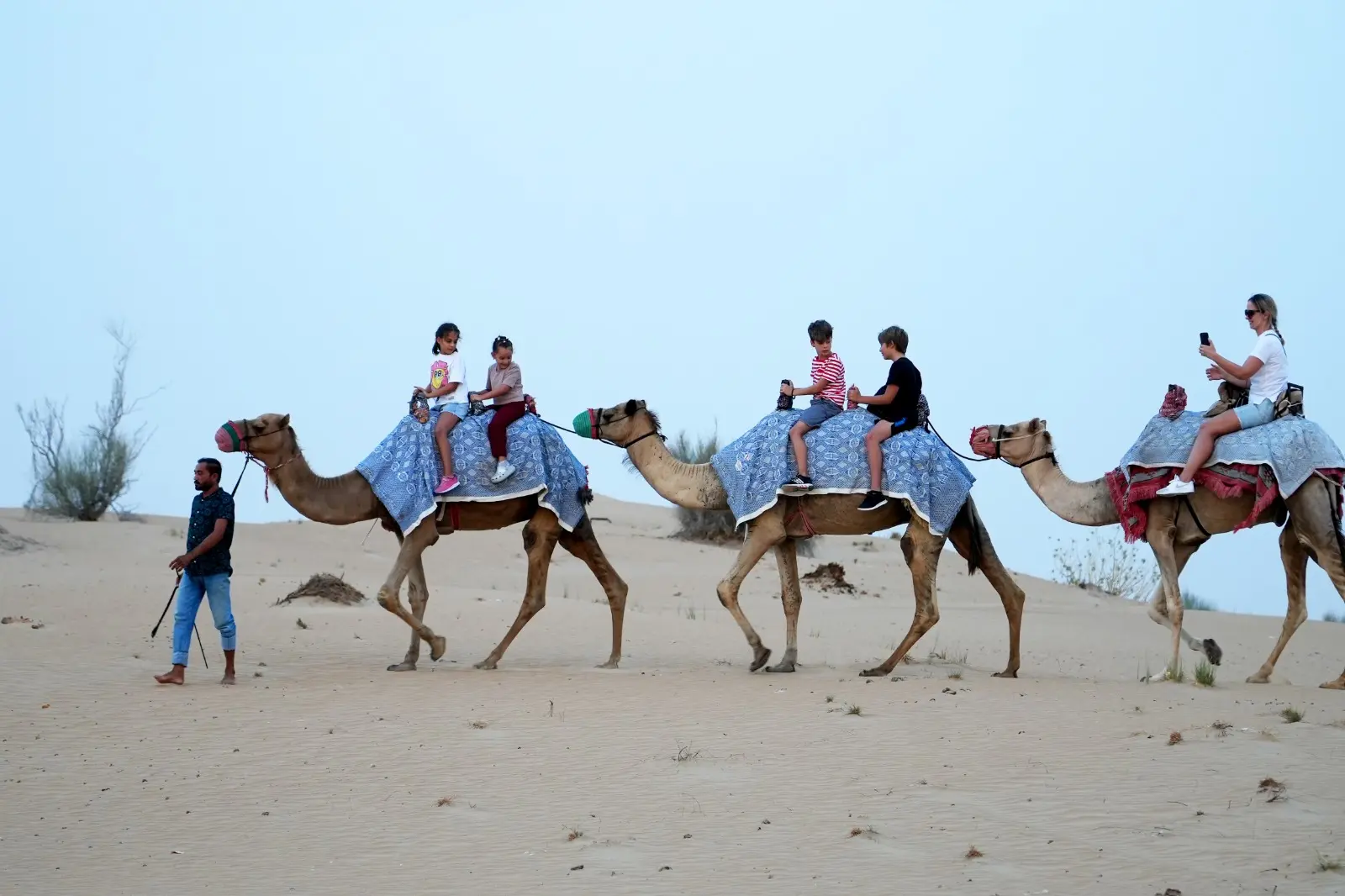 Dubai Red Dune Desert Safari, Sand Boarding, and Buffet Dinner Tour in Dubai - Photo 3