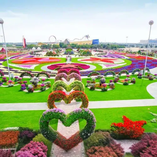 Butterfly Garden Dubai