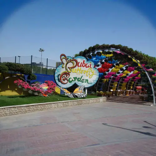 Butterfly Garden Dubai in Dubai - Photo 3