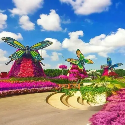 Butterfly Garden Dubai in Dubai - Photo 2