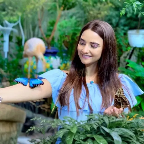 Butterfly Garden Dubai in Dubai