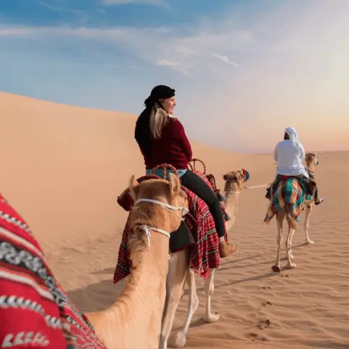 Camel Trekking in Abu Dhabi - Photo 2