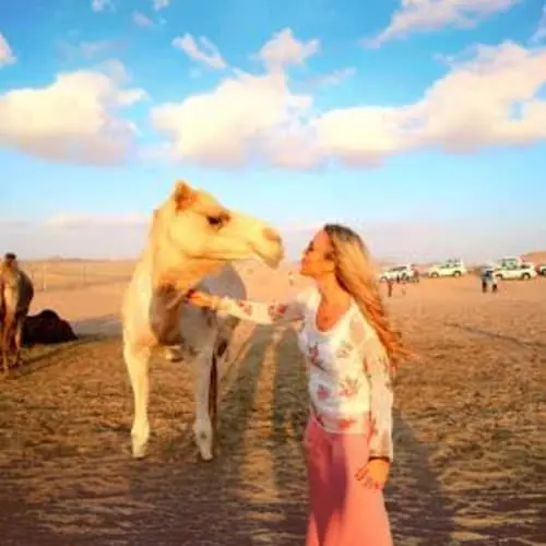 Camel Trekking in Abu Dhabi