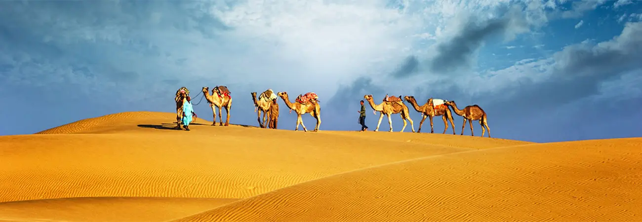 Camel Trekking in Abu Dhabi - Photo 4