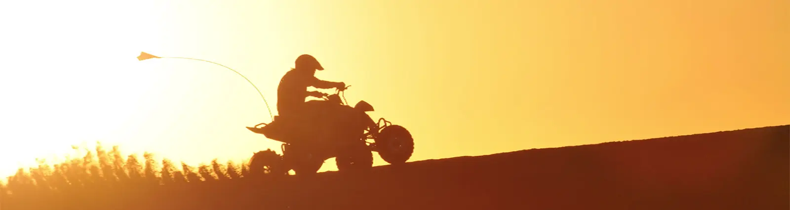 Quad Biking Abu Dhabi in Abu Dhabi - Photo 6