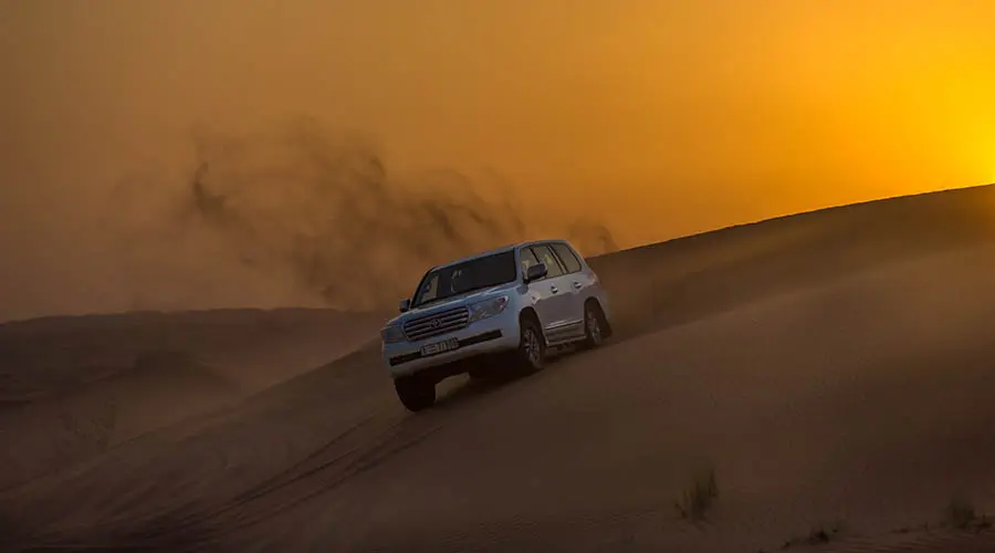 Red Dune Safari in Dubai - Photo 5
