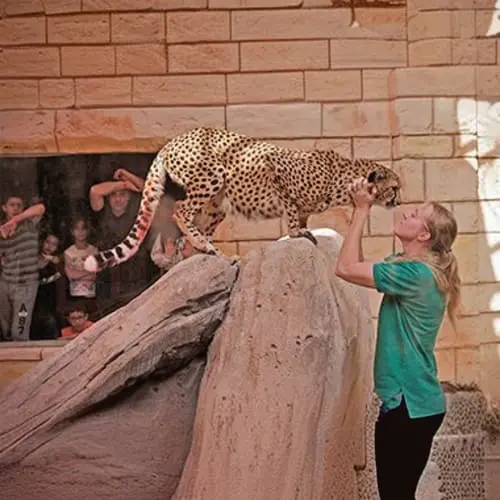Emirates Park Zoo Emirates Park Zoo in Abu Dhabi - Photo 3