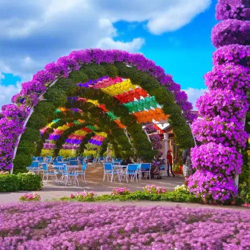 Miracle Garden Dubai in Dubai - Photo 5