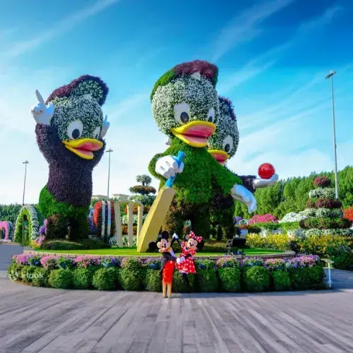 Miracle Garden Dubai in Dubai - Photo 3
