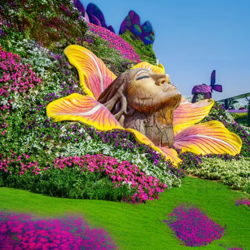 Miracle Garden Dubai in Dubai - Photo 2