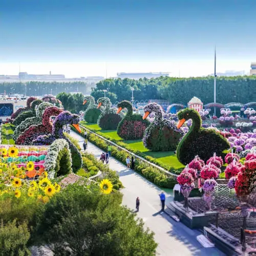 Miracle Garden Dubai in Dubai