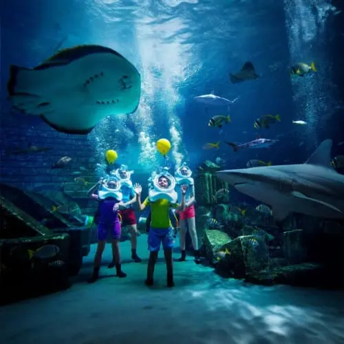 Atlantis Aquaventure Tickets Atlantis Aquaventure Tickets in Dubai - Photo 5