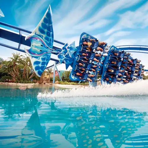 SeaWorld Abu Dhabi in Abu Dhabi - Photo 5
