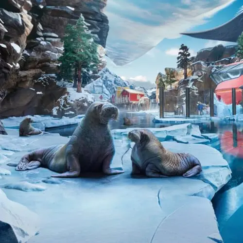 SeaWorld Abu Dhabi in Abu Dhabi - Photo 3