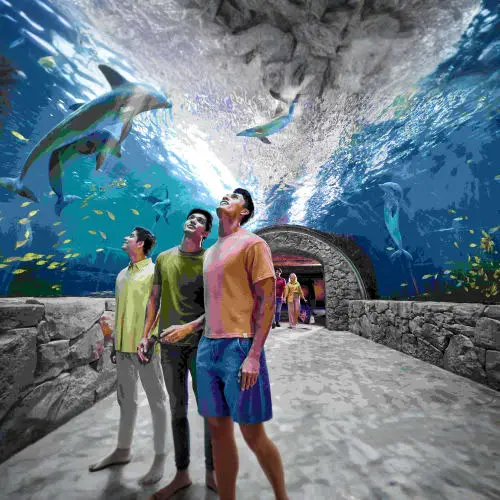 SeaWorld Abu Dhabi in Abu Dhabi