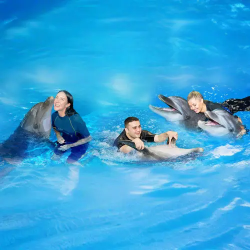 Dubai Dolphinarium Tickets in Dubai - Photo 3