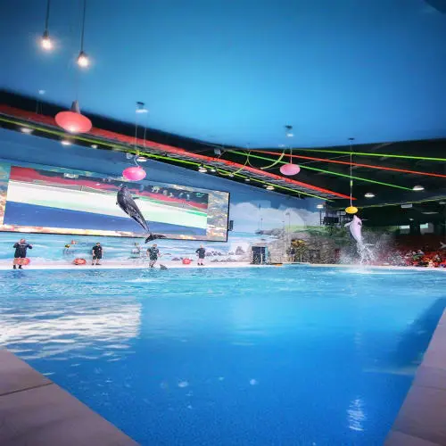Dubai Dolphinarium Tickets in Dubai - Photo 2
