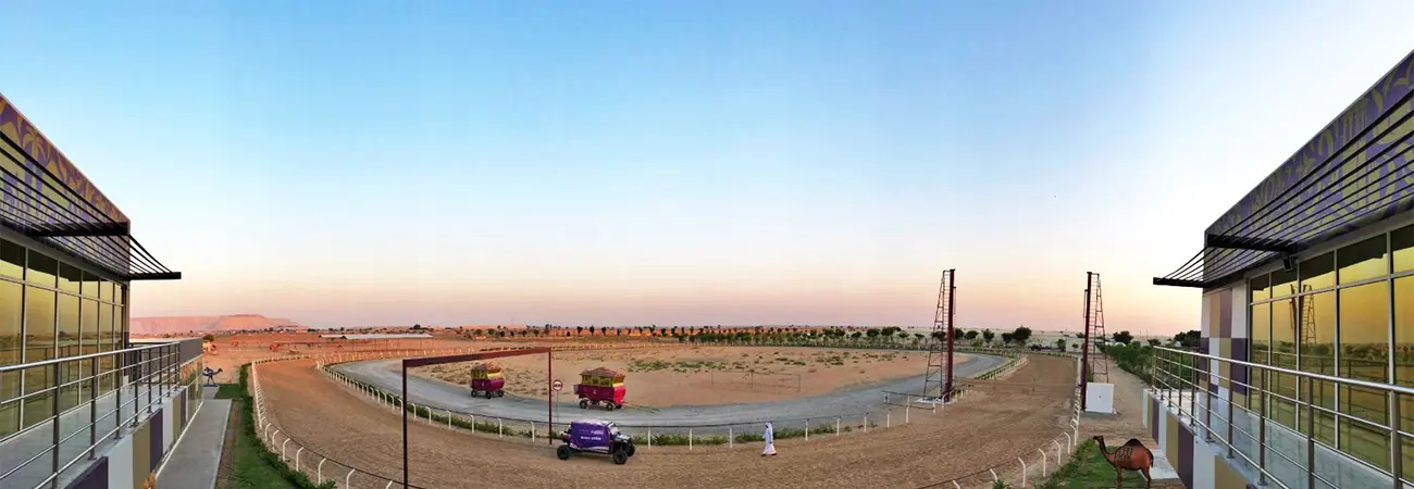 Guided Trip to Camel Farm in Dubai - Photo 2