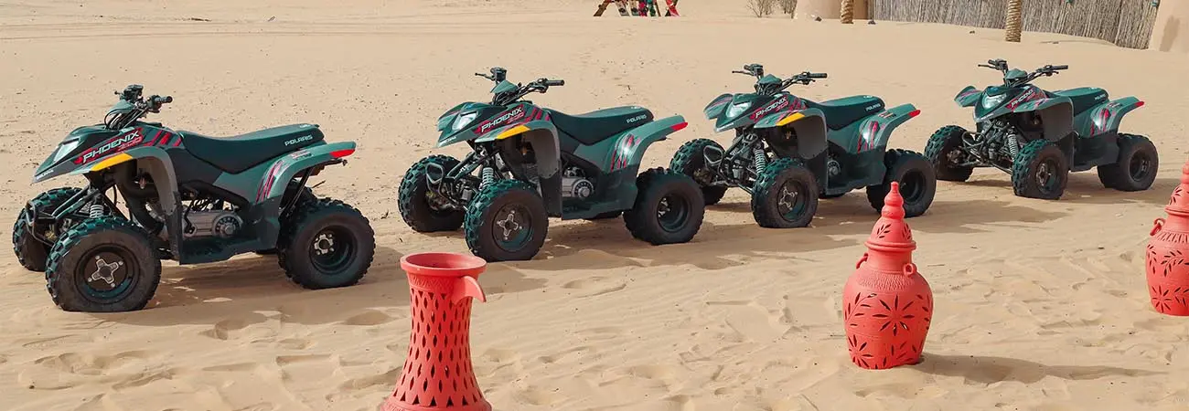 Morning Desert Safari in Abu Dhabi - Photo 4