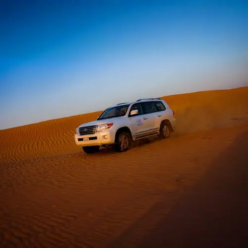 Dubai Desert Safari in Dubai - Photo 6