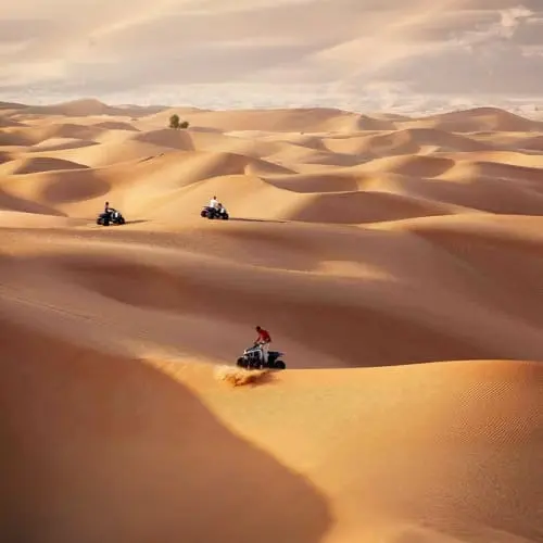 Morning Dune Buggy and Quad Bikes Experience in Abu Dhabi