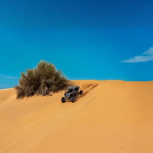 Can-Am Maverick Buggy Tour Can-Am Maverick Buggy Tour in Dubai - Photo 2