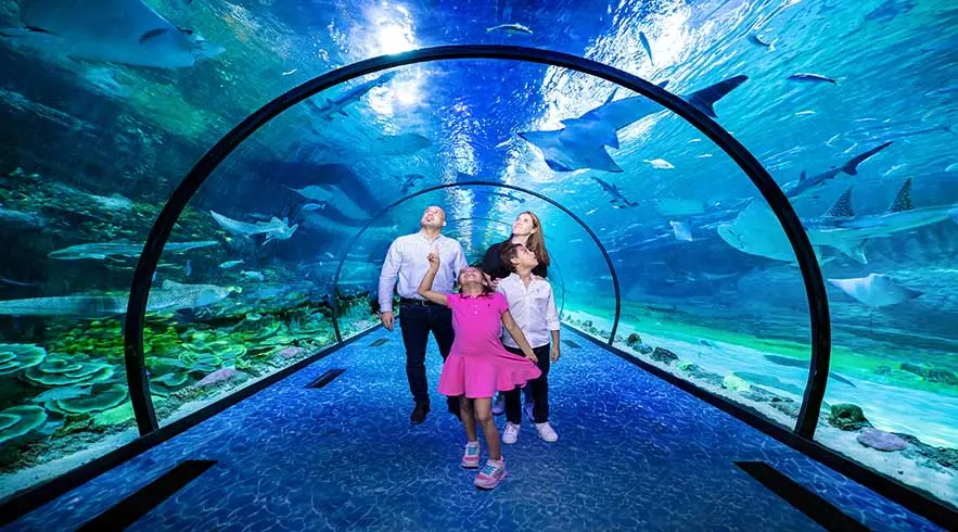 The National Aquarium Abu Dhabi The National Aquarium Abu Dhabi in Abu Dhabi - Photo 14