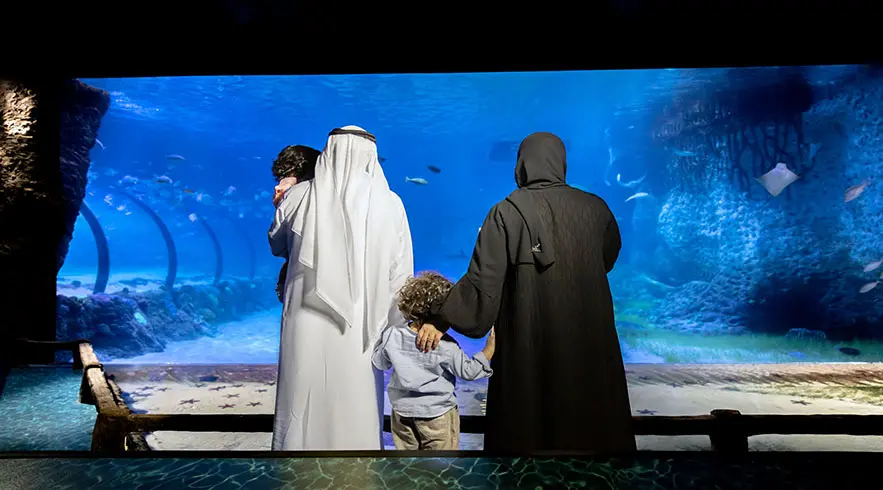 The National Aquarium Abu Dhabi The National Aquarium Abu Dhabi in Abu Dhabi - Photo 11