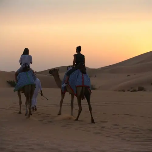 Morning Safari in Dubai - Photo 4