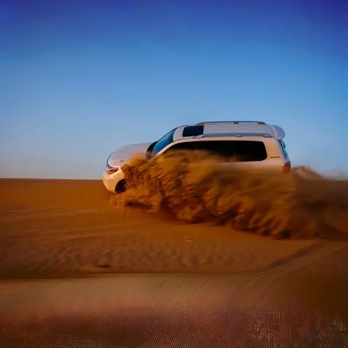 Morning Safari in Dubai - Photo 2