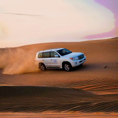 Morning Safari in Dubai