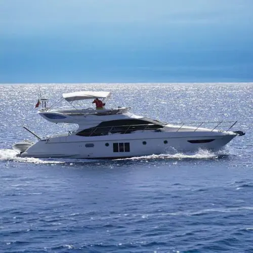 Deep Sea Cruising in Dubai - Photo 5